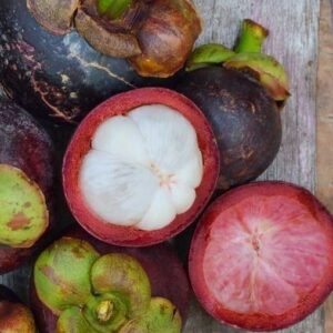 Mangosteen