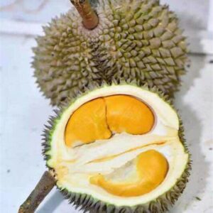 Durian