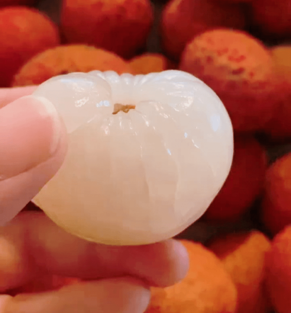 Crystal Ball Lychee (水晶球荔枝) - Image 2